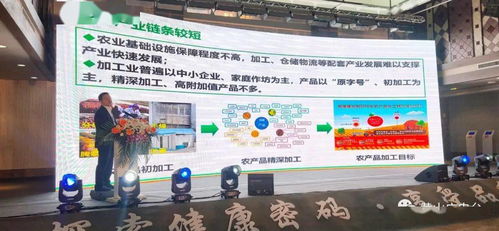 2020中國黑色食品產(chǎn)業(yè)發(fā)展黟縣峰會(huì)開幕 北京軟件開發(fā)